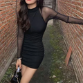 Sheer Mesh Ruched Bodycon Mini Dress - Leah Partow